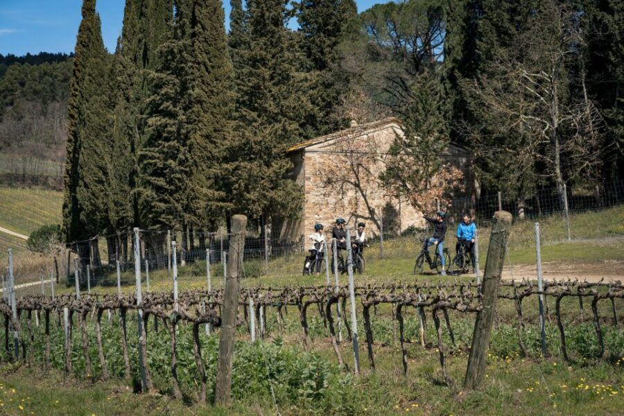 chianti-classico-e-bike-tour-with-lunch-and-tastings