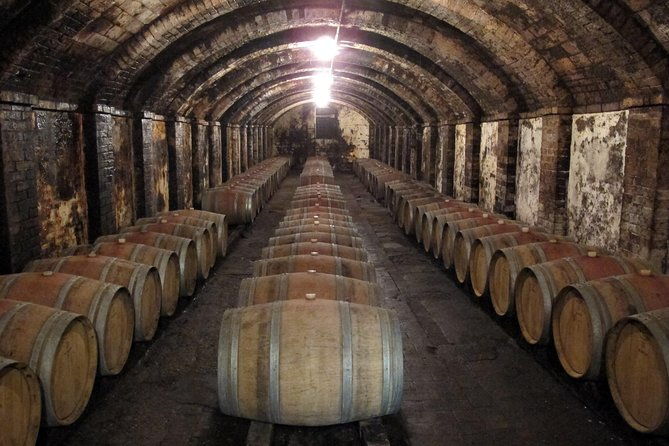 chianti-from-florenceprivate-wine-olive-oil-tasting-in-the-tuscan-countryside