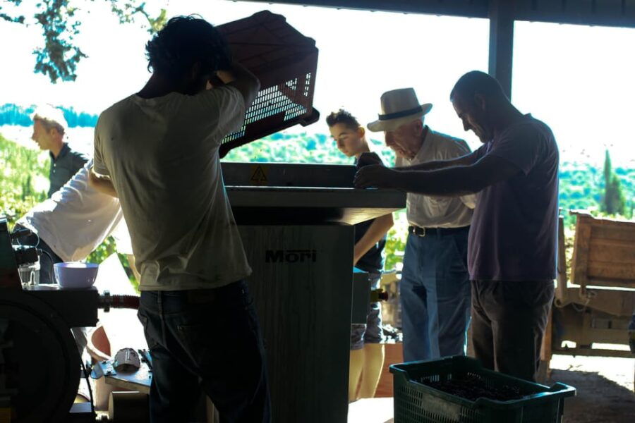 chianti-organic-wine-tasting