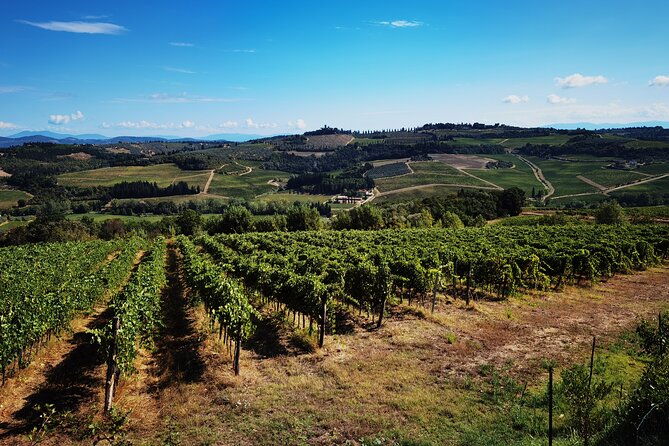 chianti-to-san-gimignano-e-bike-tour