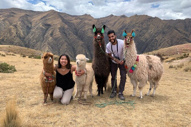 chinchero-moray-maras-picnic-with-llamas-and-alpacas