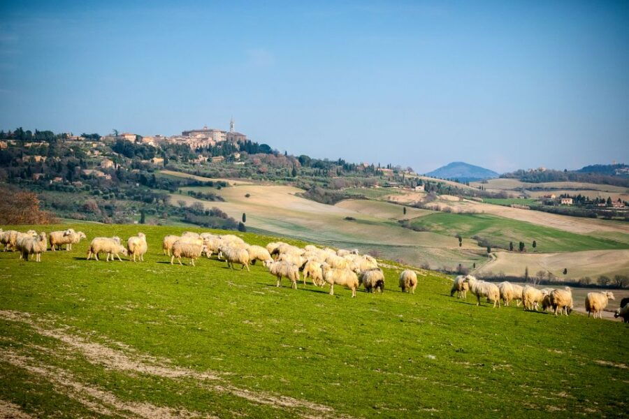 colle-val-delsa-and-volterra-full-day-tour