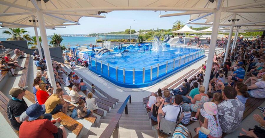 costa-den-blanes-entry-ticket-for-marineland-mallorca