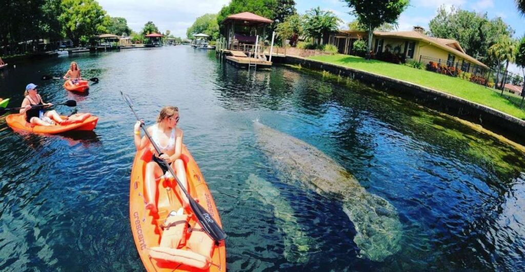 Crystal River: Kayak Rental
