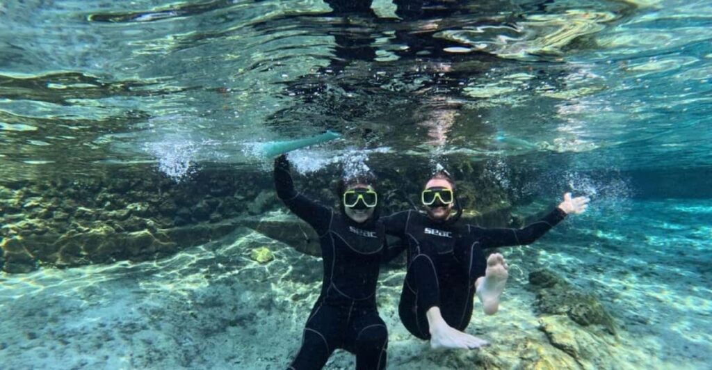 Crystal River: Springs Snorkeling Tour