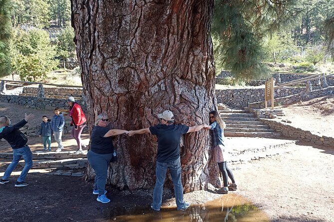 custom-private-tenerife-volcano-car-tour