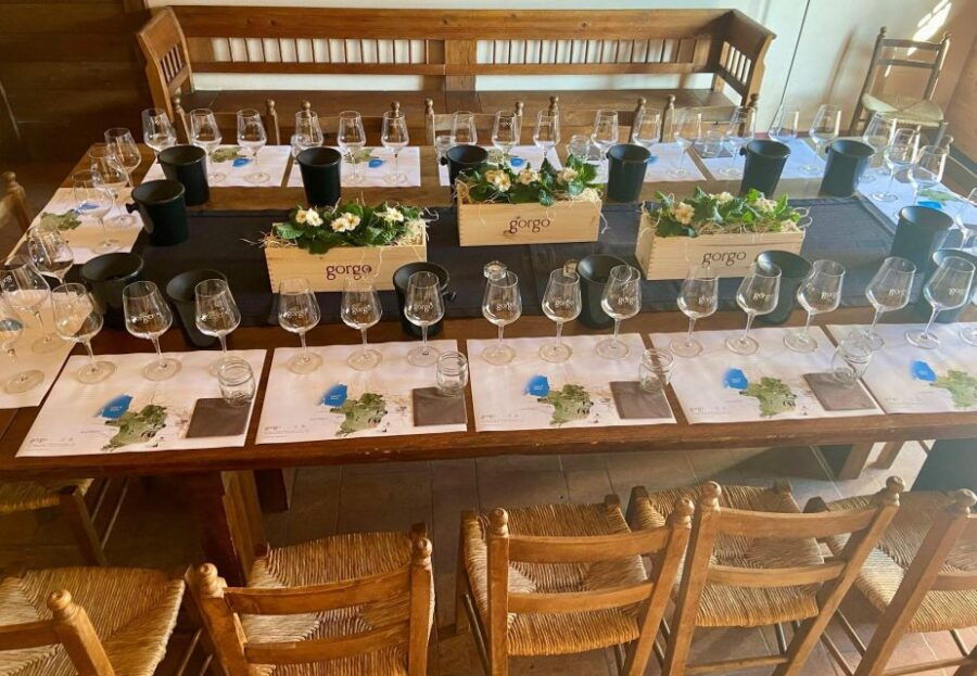 custoza-organic-wine-tasting-with-vineyard-and-cellar-tour