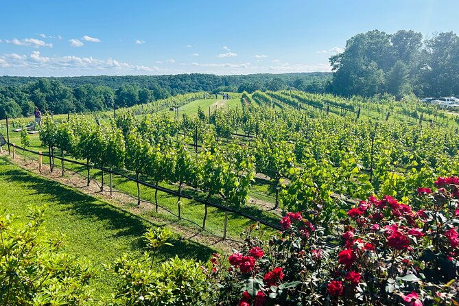 Dahlonega Wine & Dine Private Tour From Atlanta