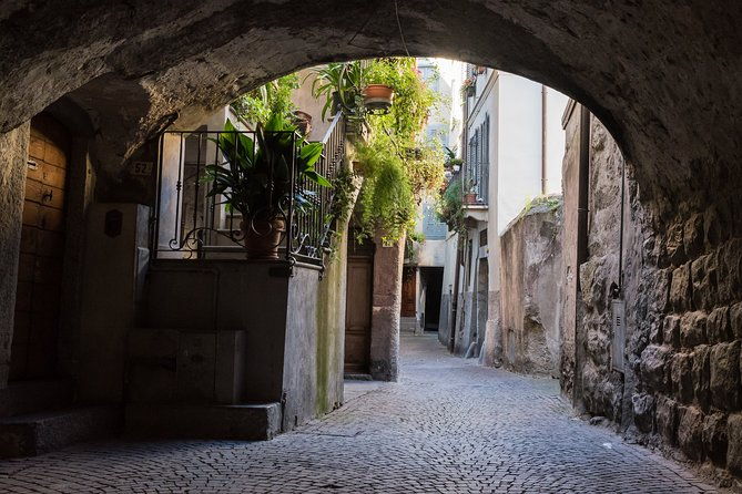 day-trip-from-milan-cave-paintings-in-the-enchanting-val-camonica