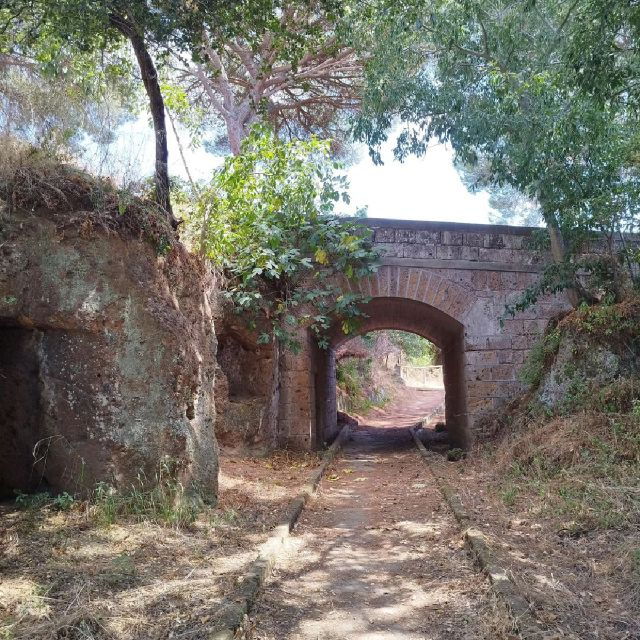 day-trip-rome-tarquinia-and-cerveteri-etruschi-tour