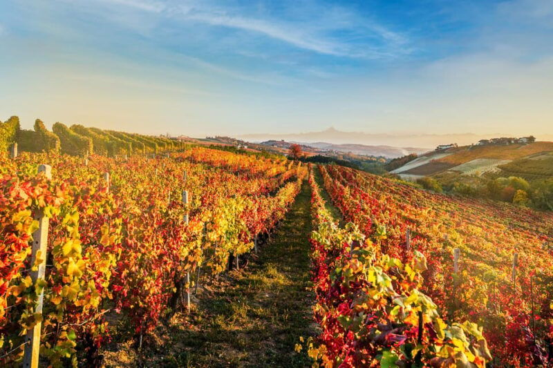 discover-piedmont-unique-wine-tasting