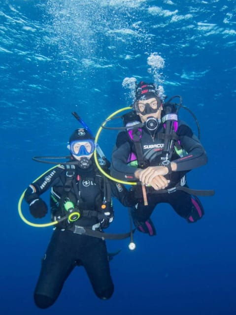 double-dive-the-azores-in-the-middle-of-the-atlantic-ocean