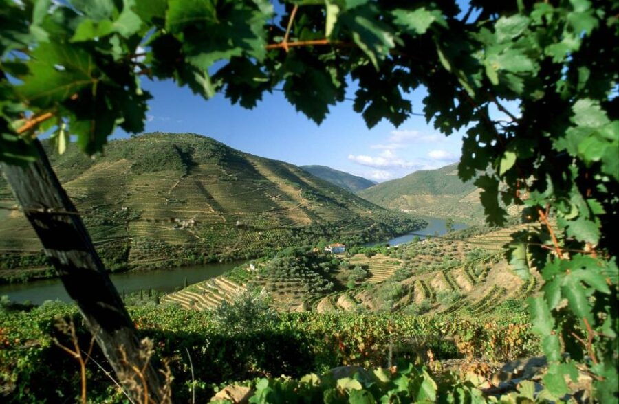 douro-valley-full-day-private-tour-from-porto