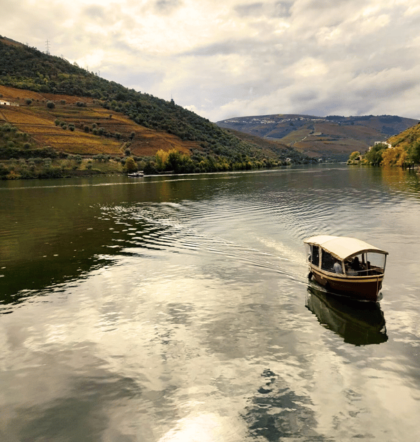 douro-valley-premium-wine-tour-cruise-lunch-from-porto