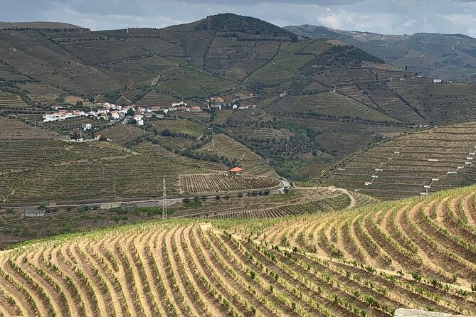 douro-valley-private-tour-includes-wine-tasting-and-boat-trip