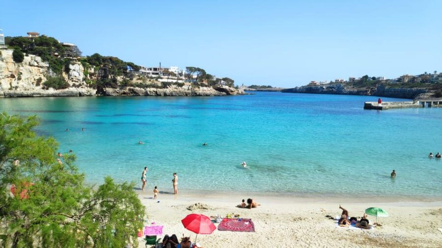 drach-caves-and-palma-or-beach-retreat-full-day-tour