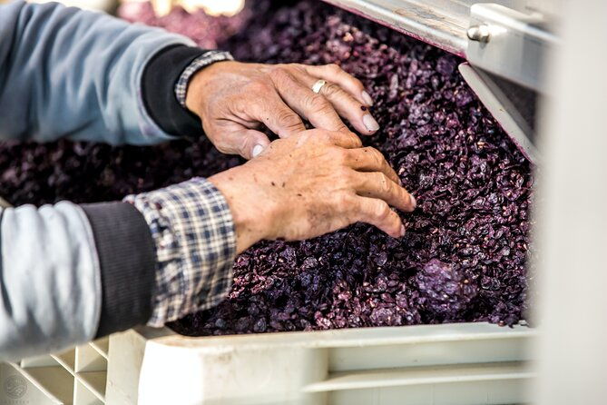 dubrovnik-private-walking-tour-and-wine