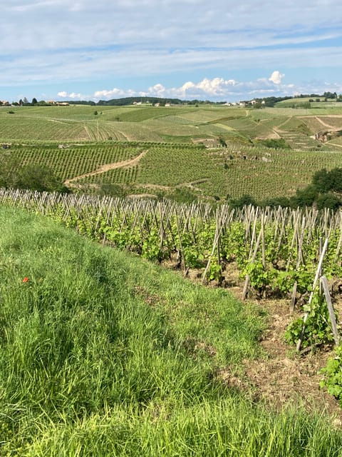 duo-parents-children-wine-cote-rotie-tour-visit