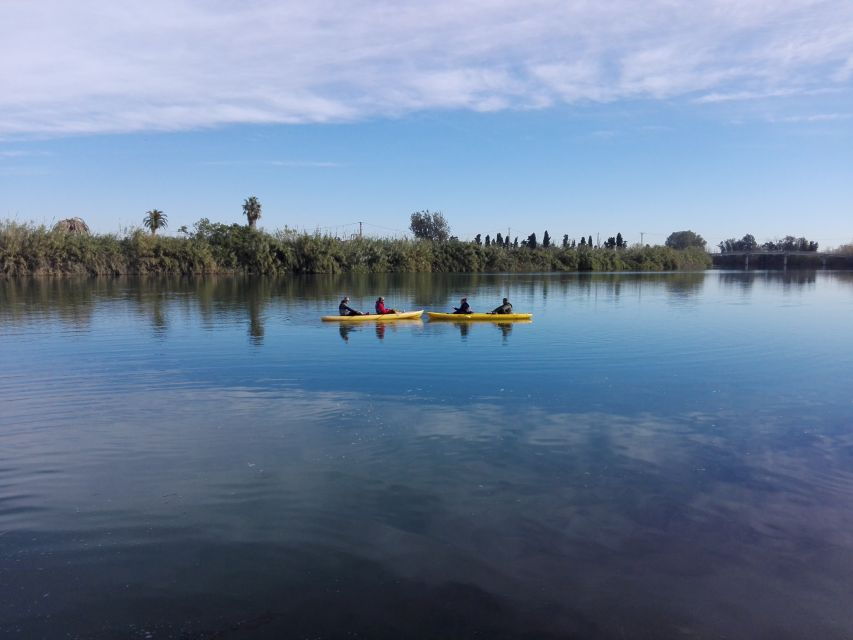 ebro-delta-guided-kayak-tour-to-gracia-island