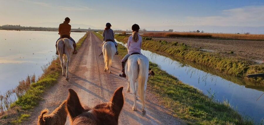 ebro-delta-national-park-guided-horseback-riding-tour