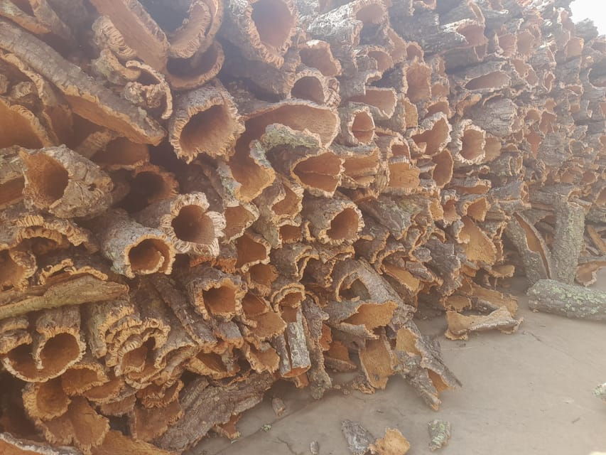 enjoy-the-corck-experience-and-visit-tavira-city