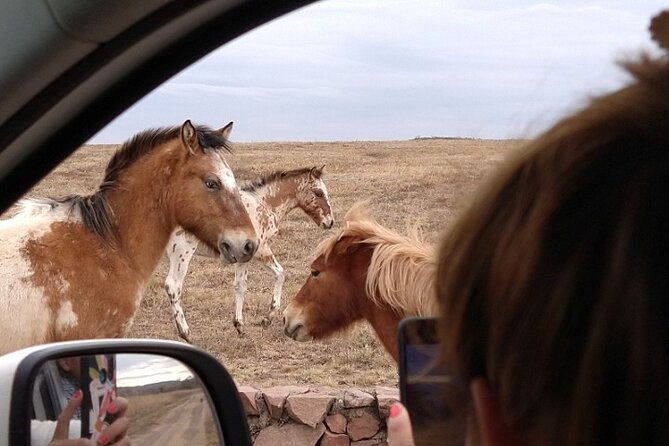 equestrian-experience-in-the-north-of-cordoba