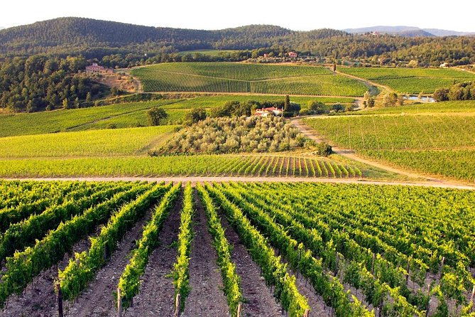 escorted-tour-siena-san-gimignano-and-chianti