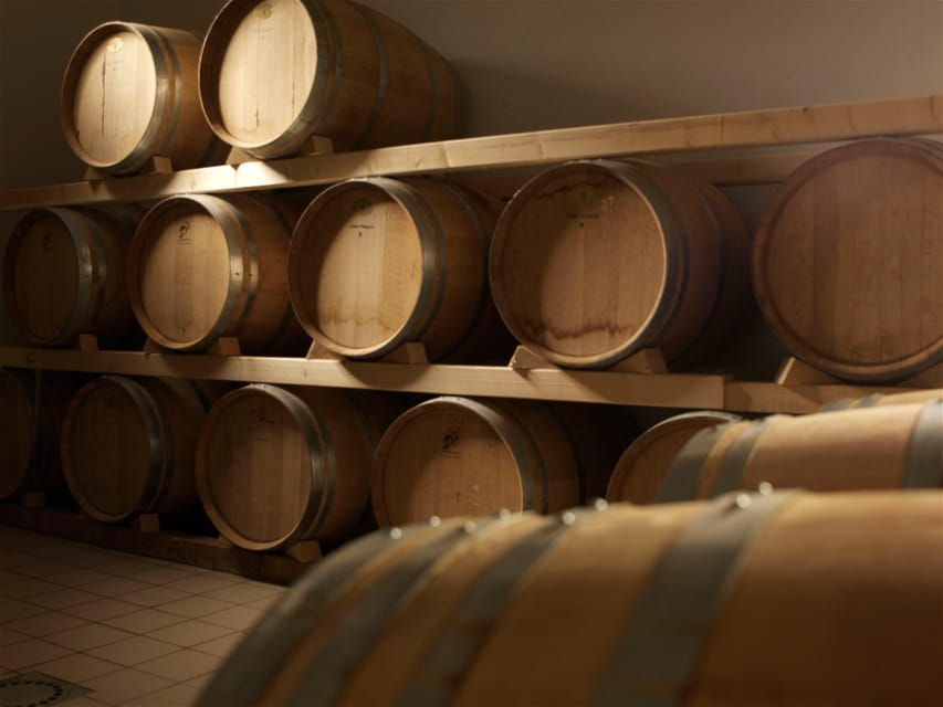 euganean-hills-tasting-of-the-most-significant-wines-and-vineyard-tour