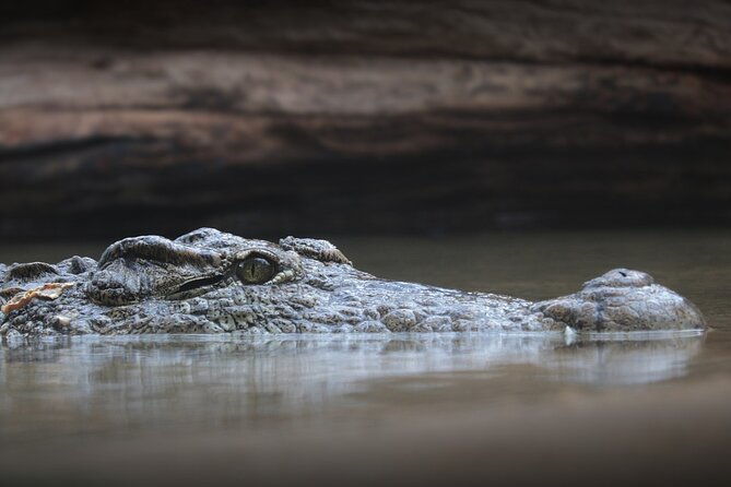 everglades-airboat-tour-with-roundtrip-transportation-from-miami