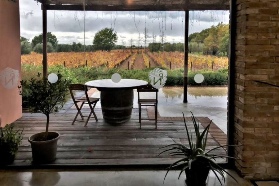 exclusive-bolgheri-full-day-wine-tour-from-florence