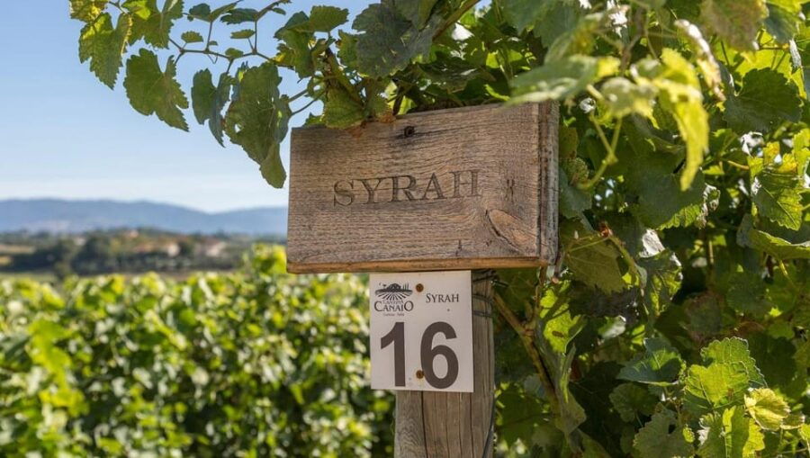 exclusive-cortona-tour-land-of-tuscan-syrah