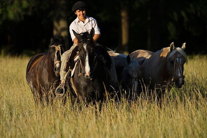 exclusive-farm-day-at-estancia-la-bandada-including-traditional-argentine-barbecue-horseback-riding-and-gauchos-show