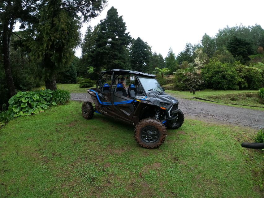 exclusive-private-buggy-adventure-forest-and-mountains-2