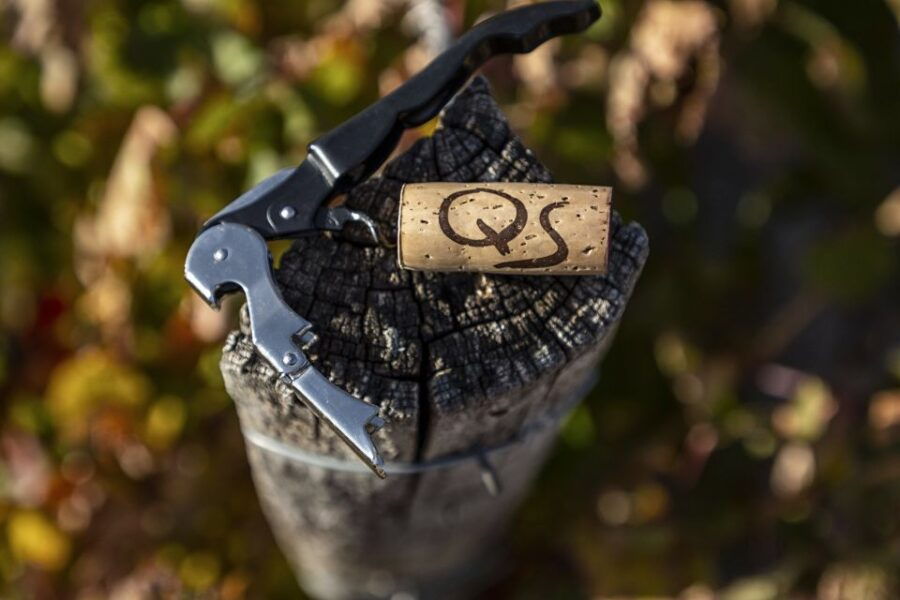 exclusive-winery-tour-and-tasting-in-the-golden-mile