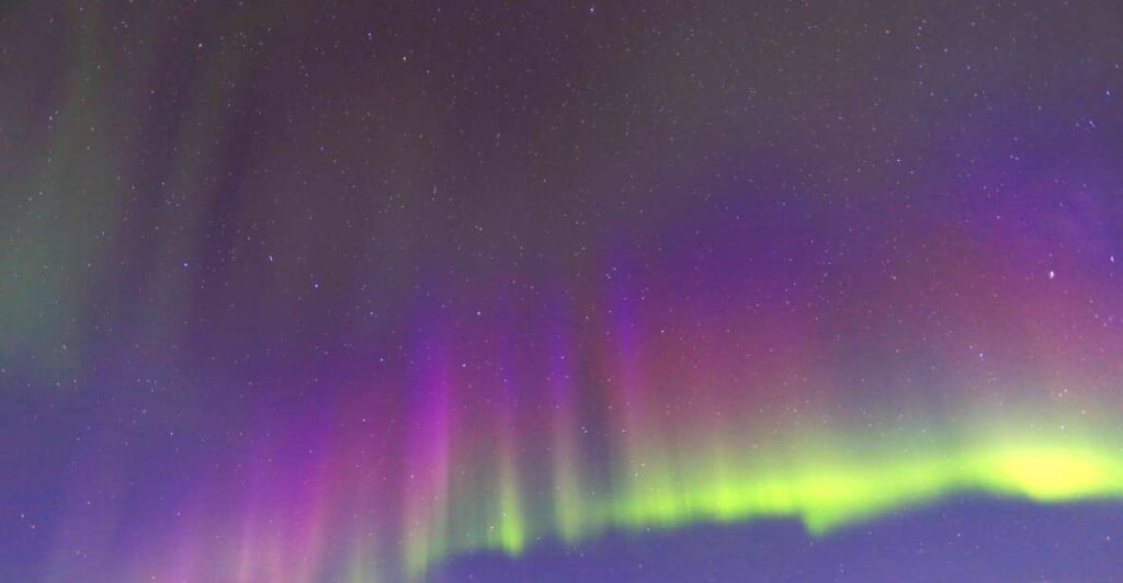 Fairbanks: Moonlight Dog Sled, Dinner & Northern Lights