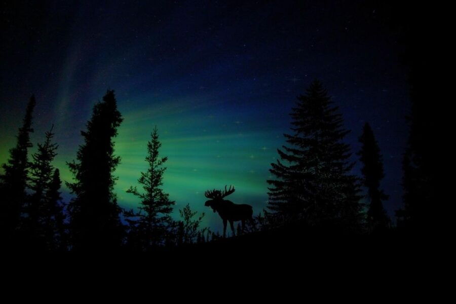 fairbanks-northern-lights-and-chena-hot-springs-tour