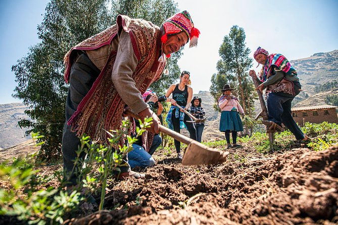 farm-food-lamay-private-departure