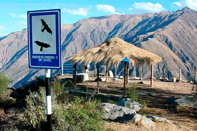 flight-of-the-condor