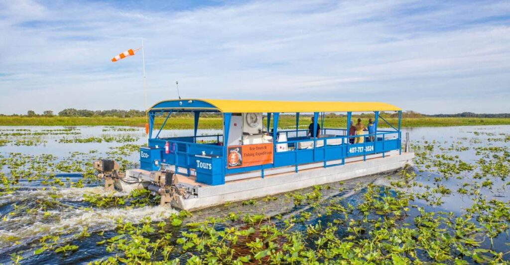 Florida: 90 Minute Everglades Cruise