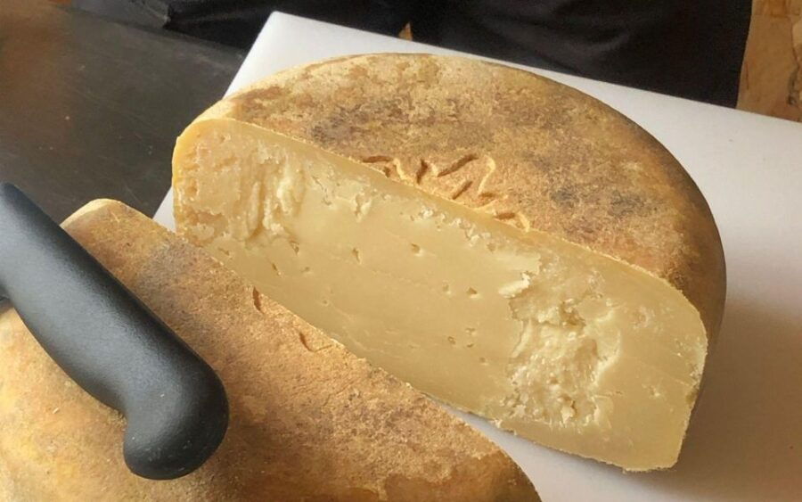 french-basque-country-farms-food-tour