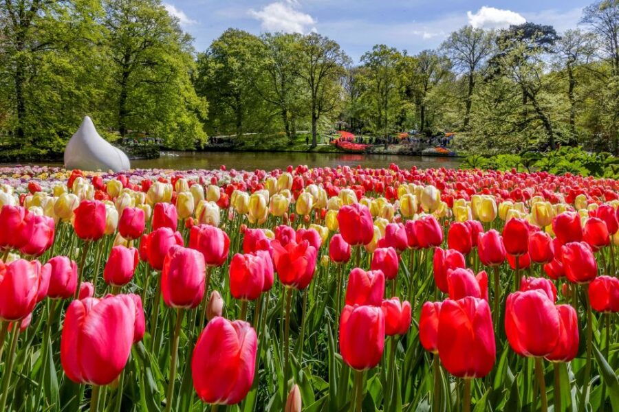 from-amsterdam-keukenhof-and-dutch-countryside-tour