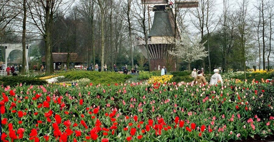 from-amsterdam-private-day-trip-to-keukenhof-de-tulperij