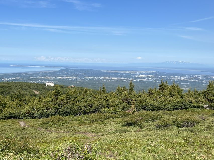 From Anchorage: Chugach State Park Walk With Naturalist