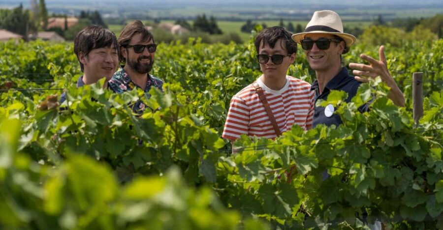 from-avignon-luberon-and-chateauneuf-du-pape-full-day-tour