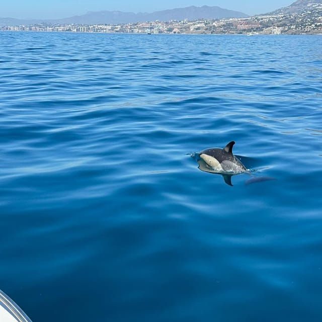 from-benalmadena-boat-rental-with-no-license-required