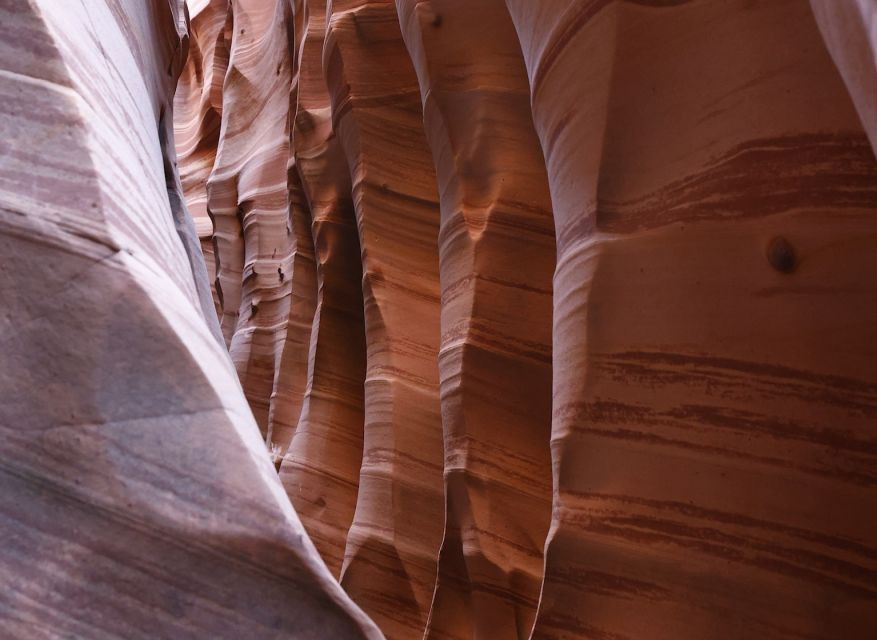 from-escalante-zebra-slot-canyon-guided-tour-and-hike