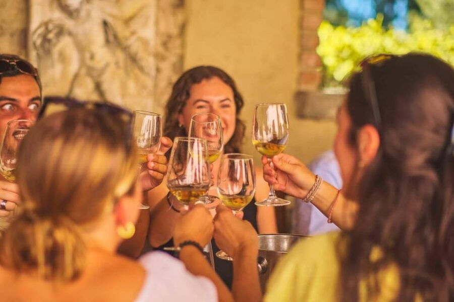 from-florence-chianti-wineries-tour-with-7-wine-tastings