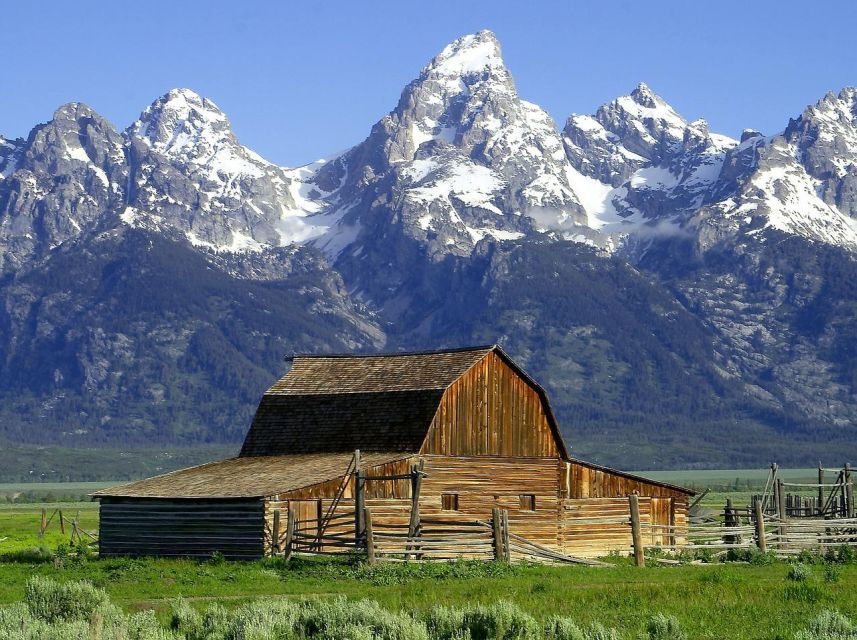 From Jackson: Half-Day Grand Teton National Park Tour