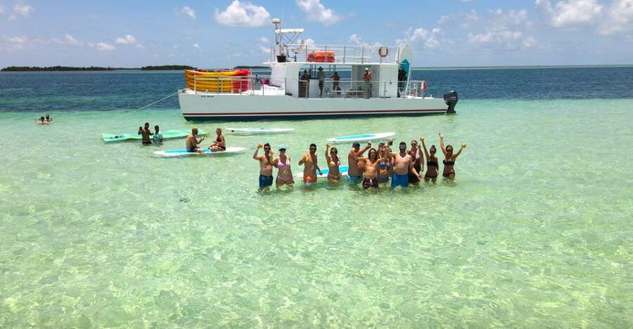 From Key West: Dolphin Watching Tour With Lunch & Drinks