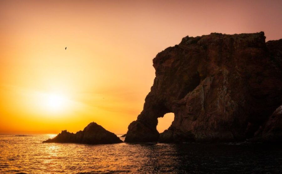 from-lisbon-berlenga-grande-island-private-tour